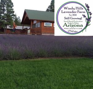 Windy Hills Lavender Farm LLC logo