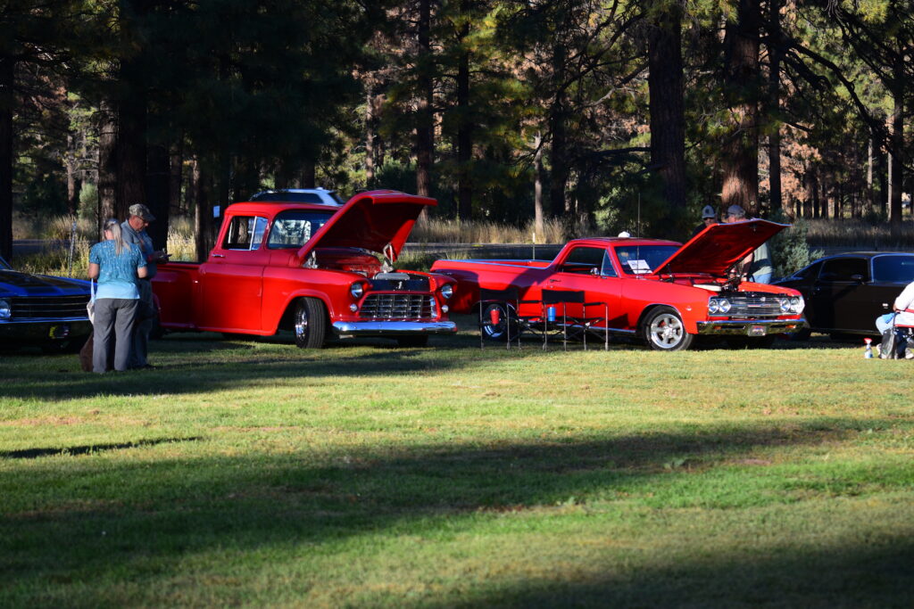 DSC_3615